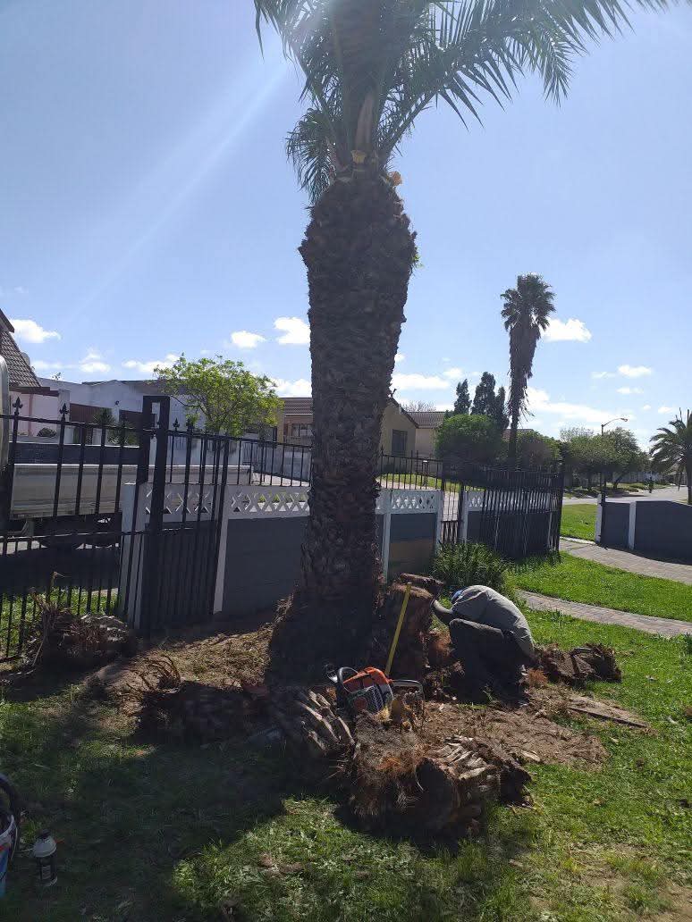 Residential cleanups